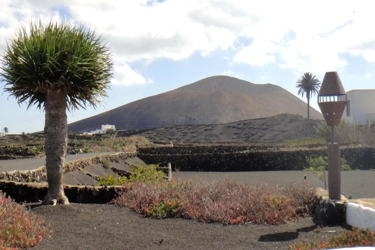 Finca El Oratorio Masdache 部屋 写真